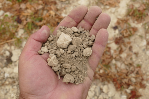 Reach For The Wines Of Ribera del Duero