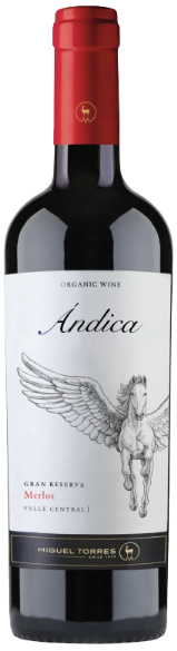 Torres Andica Merlot 2023