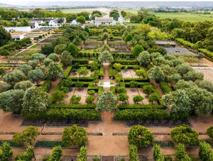The Babylonstoren Winemaker's Feast (Tuesday 7th November 2023)
