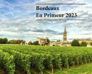 Château Angludet 2023 [in bond ex vat] (6 x 75cl) en primeur landing Spring 2026
