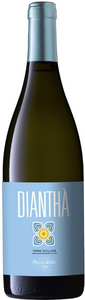 Pellegrino Diantha 2023