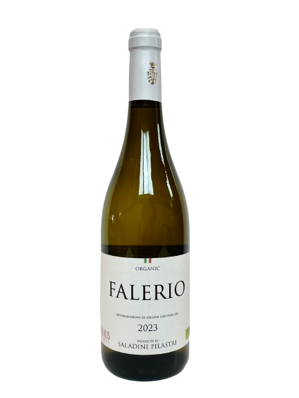 Taurus Wines Falerio 2023