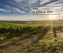 Load image into Gallery viewer, Renieri Brunello Di Montalcino 2019 [in bond, ex VAT] (6 x 75cl)
