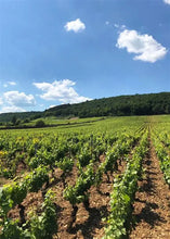 Load image into Gallery viewer, Louis Jadot Winemaker&#39;s Feast (6th November 2025)

