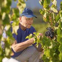 Load image into Gallery viewer, The Waterkloof Winemaker&#39;s Feast (Thursday 2nd November 2023)
