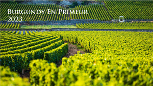 Olivier Leflaive Puligny-Montrachet 2023 [in bond ex vat] (6x 75cl) landing Summer 2025