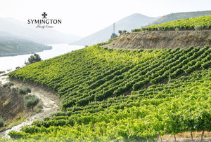Symington's ~ The Portuguese Producer's Feast (Thursday 19th October 2023)