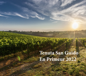 Tenuta San Guido 'Guidalberto' 2022 [in bond ex vat] (6 x 75cl)