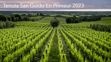 Load image into Gallery viewer, Tenuta San Guido Le Difese 2023 6x75cl In Bond, ex VAT &amp; Duty, Landing Late Spring/Early Summer
