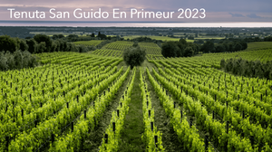 Tenuta San Guido Le Difese 2023 6x75cl In Bond, ex VAT & Duty, Landing Late Spring/Early Summer