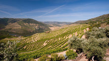 Load image into Gallery viewer, Symington Family Estate Walkabout Tasting (Friday 14th November)
