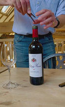 Load and play video in Gallery viewer, Butlers Thief Cork Remover
