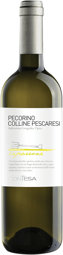 Caparrone Pecorino IGT Colline Pescaresi 2023