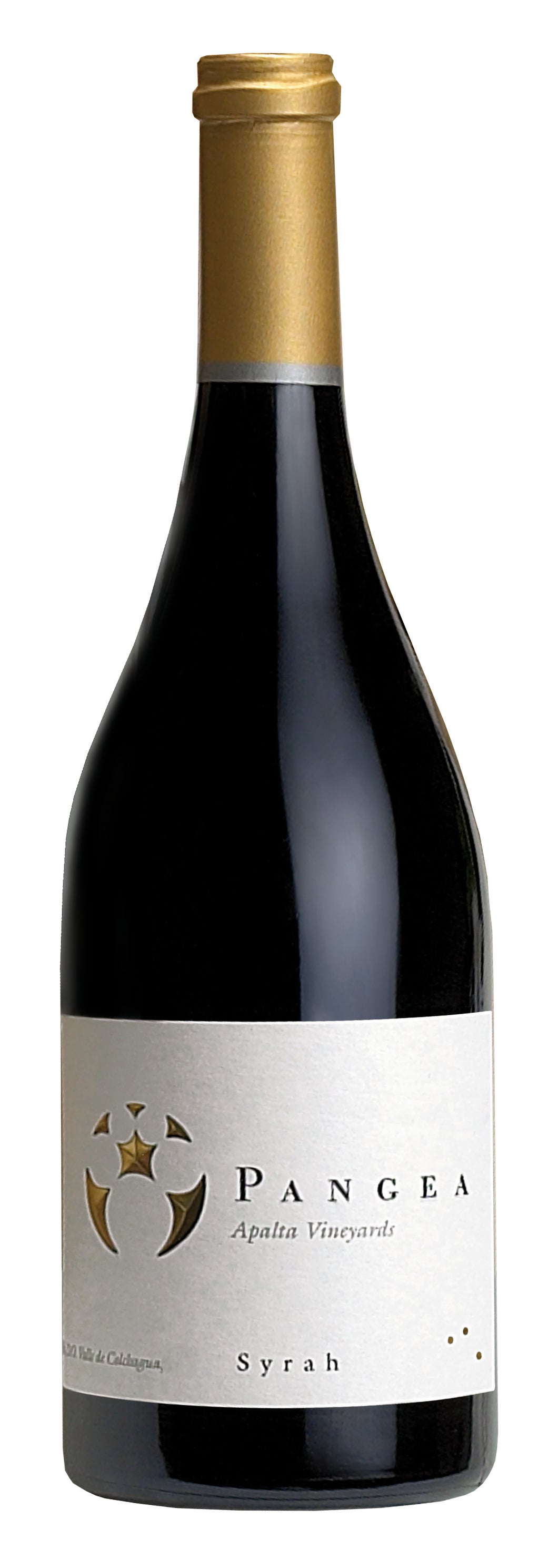 Pangea Syrah 2016, Apalta Vineyard