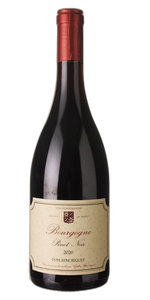 Domaine Remoriquet Pinot Noir 2021